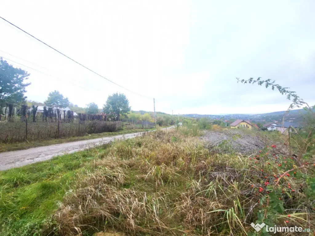 Teren de vanzare Barnova, cu priveliste Vanzare imediata