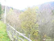 Busteni-Teren intravilan situat in Valea Alba in apropiere de partie 