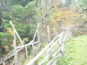 Busteni-Teren intravilan situat in Valea Alba in apropiere de partie 