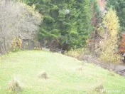 Busteni-Teren intravilan situat in Valea Alba in apropiere de partie 