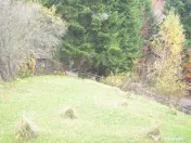 Busteni-Teren intravilan situat in Valea Alba in apropiere de partie 