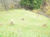 Busteni-Teren intravilan situat in Valea Alba in apropiere de partie 