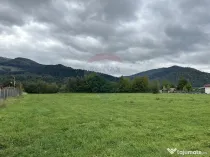 Teren 1,023mp Vadurele (Alexandru cel Bun) / Strada Steja...