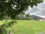 Teren 1,023mp Vadurele (Alexandru cel Bun) / Strada Steja... 