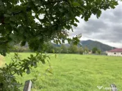 Teren 1,023mp Vadurele (Alexandru cel Bun) / Strada Steja... 