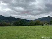 Teren 1,023mp Vadurele (Alexandru cel Bun) / Strada Steja... 