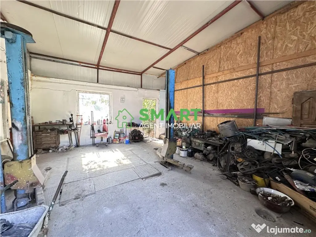 Spa#539;ii comerciale. Arad , zona Subcetate