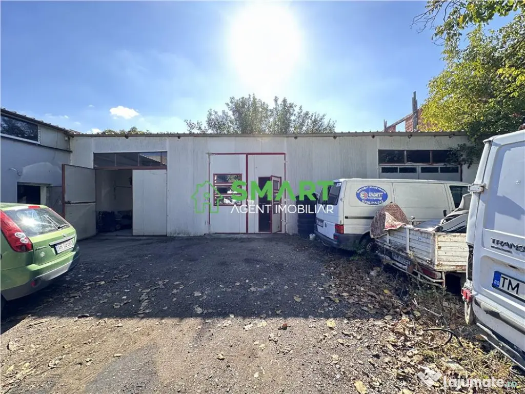 Spa#539;ii comerciale. Arad , zona Subcetate