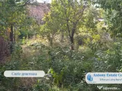 Old Brick House, Casa de , Zona Garii, Oradea 