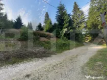 Investitie ! Teren intravilan 990 mp, front 23 m, Muntele B