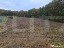 Teren intravilan parcelat - 2882 mp - Sat Bejan