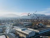 Hala industrială – investiție stabilă sau potențial... 