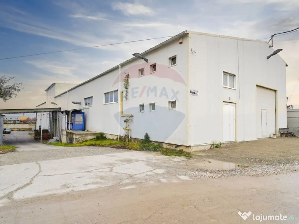 Hala industrială – investiție stabilă sau potențial...