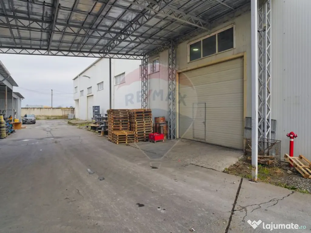 Hala industrială – investiție stabilă sau potențial...