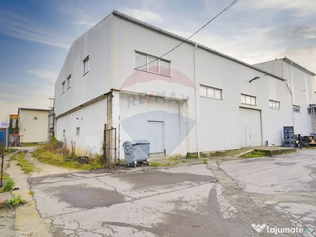Hala industrială – investiție stabilă sau potențial...
