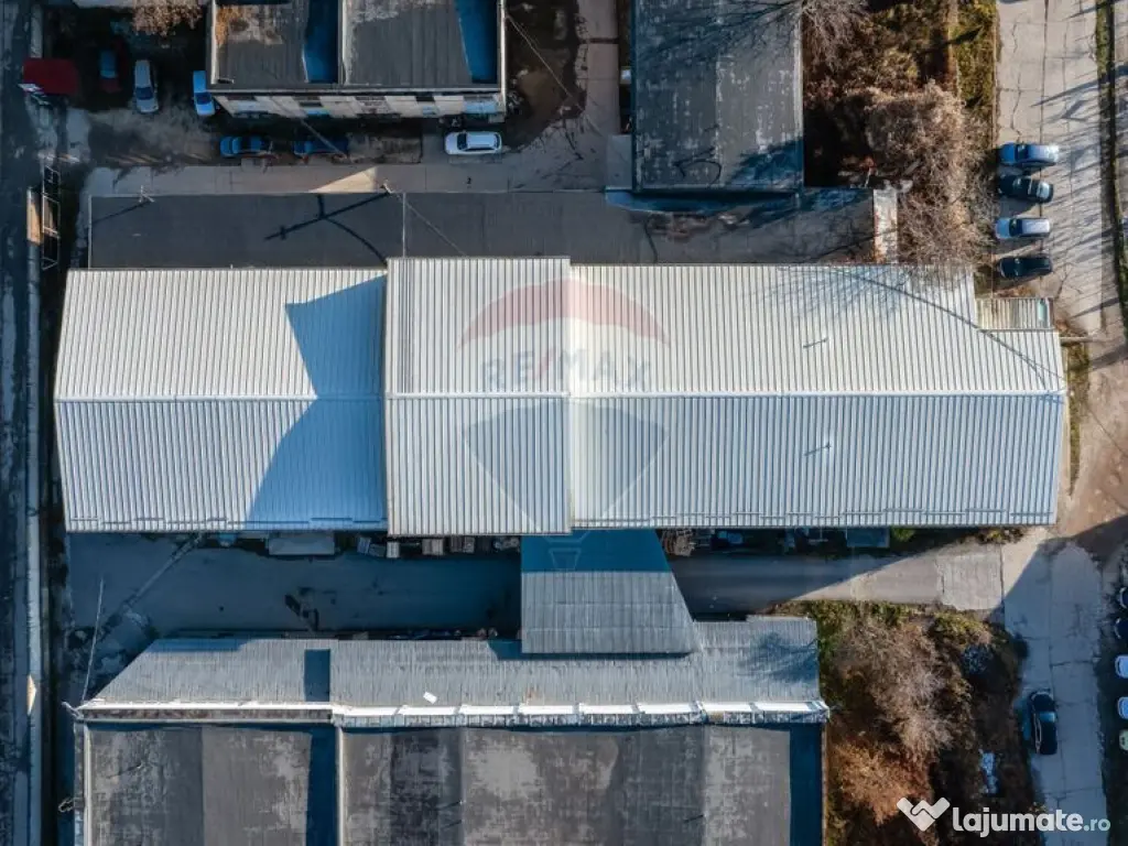 Hala industrială – investiție stabilă sau potențial...