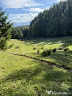 Teren intravilan 28 Ari zona Colibita