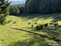 Teren intravilan 28 Ari zona Colibita