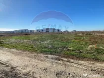 Teren 465mp Tunari / Strada 1 Decembrie