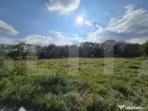 Teren intravilan 1200mp in zona Domeniul regilor