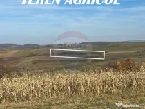 DE VANZARE - TEREN agricol