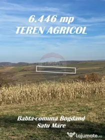 DE VANZARE - TEREN agricol