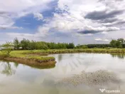 Afacere multifuncțională cu venituri imediate si potenția 