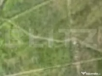 Teren 7500 mp, Schitu Duca, la DN 24