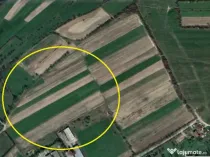 Rus, 13 ari teren, pret 10000E