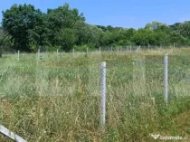 Teren extravilan de 1000 mp, situat pe strada Ghinzii