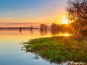 SISESTI teren. 5000mp iesire la LAC 