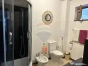 Casă / Vilă Girov Contesti 