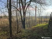 Teren de vanzare in Fratautii Noi / Strada Dealului 