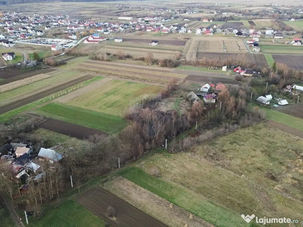 Teren de vanzare in Fratautii Noi / Strada Dealului