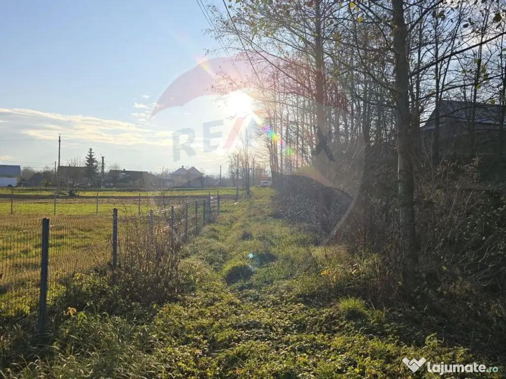 Teren de vanzare in Fratautii Noi / Strada Dealului