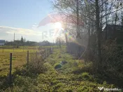 Teren de vanzare in Fratautii Noi / Strada Dealului 