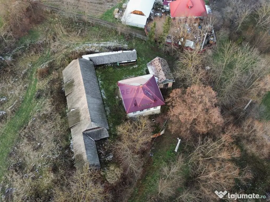 Teren de vanzare in Fratautii Noi / Strada Dealului