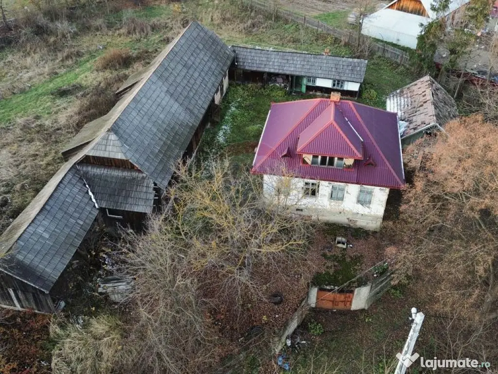 Teren de vanzare in Fratautii Noi / Strada Dealului