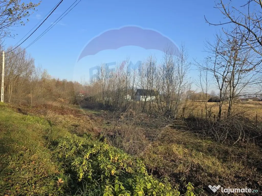 Teren de vanzare in Fratautii Noi / Strada Dealului