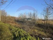 Teren de vanzare in Fratautii Noi / Strada Dealului 