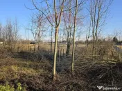 Teren de vanzare in Fratautii Noi / Strada Dealului 