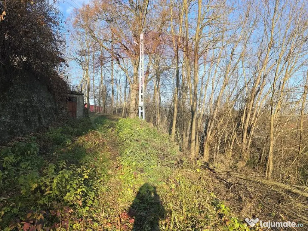 Teren de vanzare in Fratautii Noi / Strada Dealului