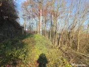 Teren de vanzare in Fratautii Noi / Strada Dealului 