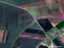 Teren agricol 14,200mp zona fermei din Zimandu Nou