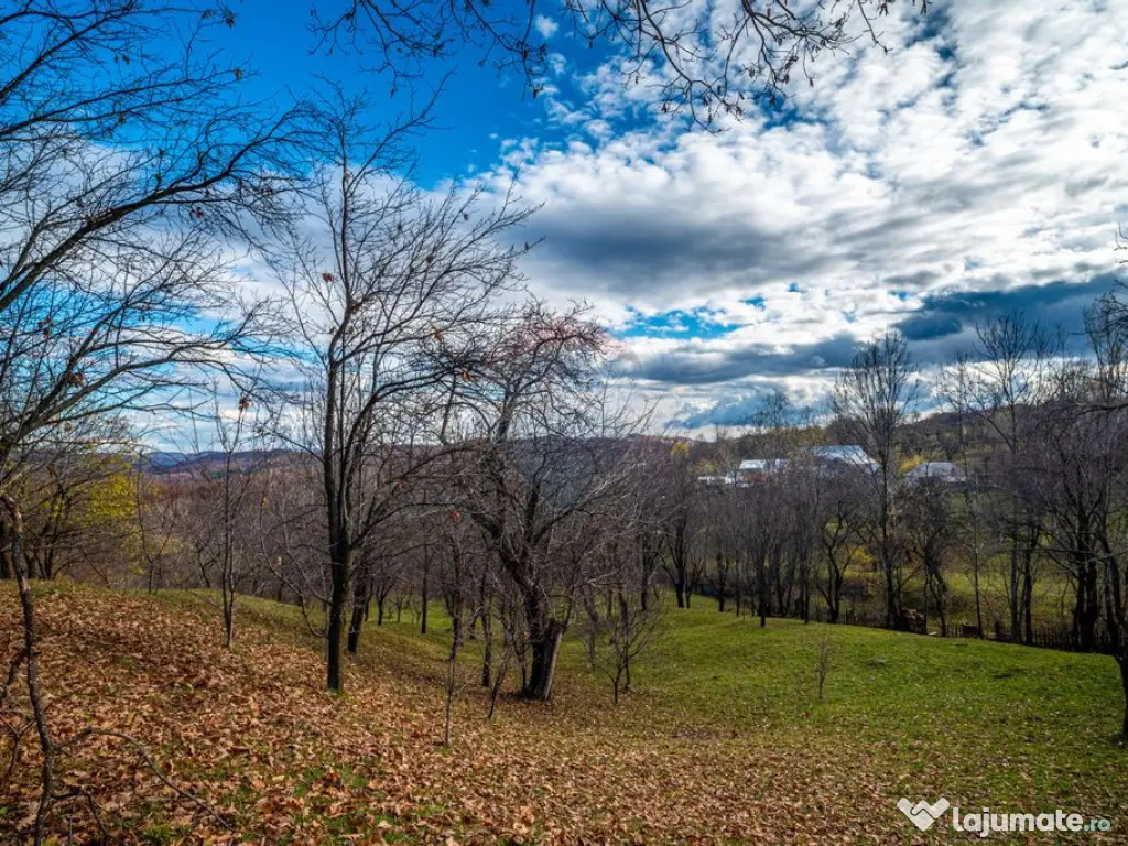 Teren intravilan 4384 mp – Comuna Talea, județul Prahova