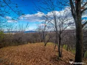 Teren intravilan 4384 mp – Comuna Talea, județul Prahova 