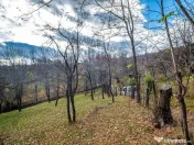 Teren intravilan 4384 mp – Comuna Talea, județul Prahova 