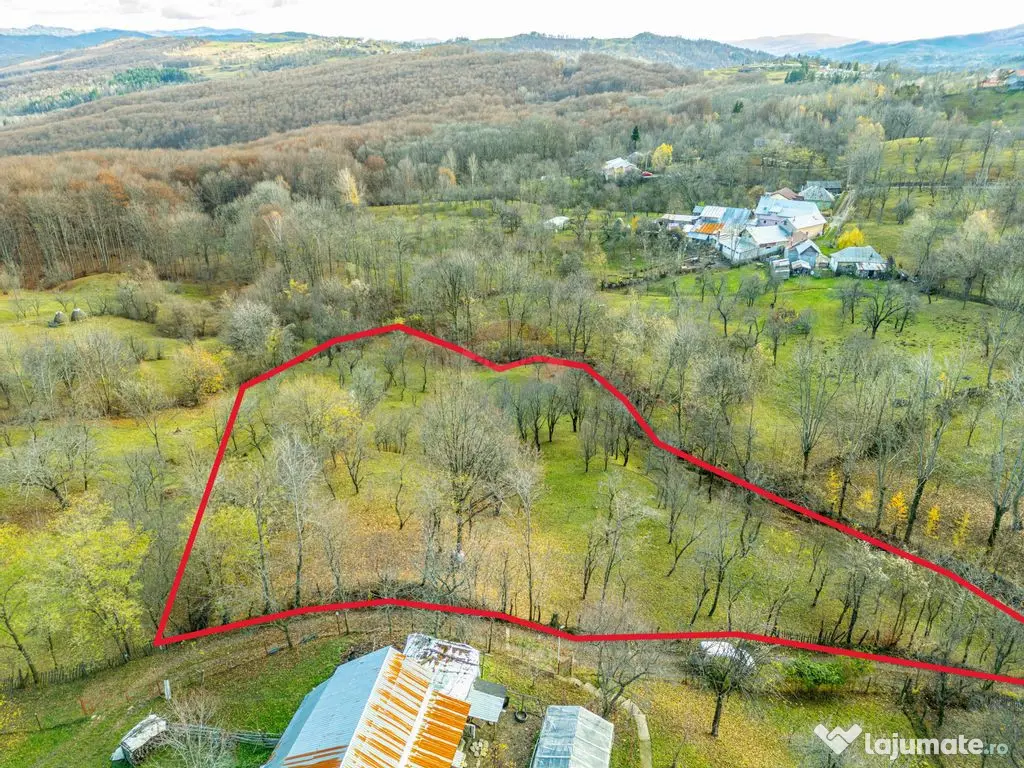 Teren intravilan 4384 mp – Comuna Talea, județul Prahova