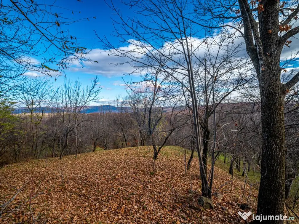 Teren intravilan 4384 mp – Comuna Talea, județul Prahova