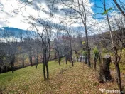 Teren intravilan 4384 mp – Comuna Talea, județul Prahova 